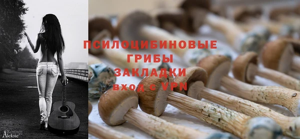 ECSTASY Абаза
