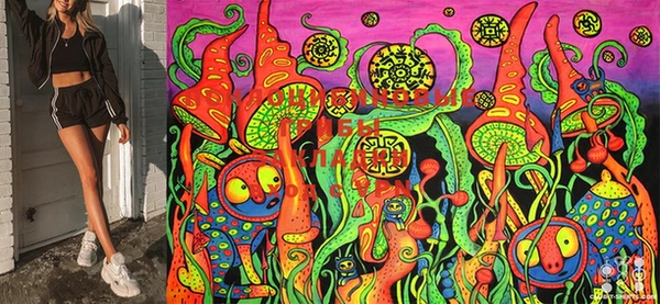 ECSTASY Абаза