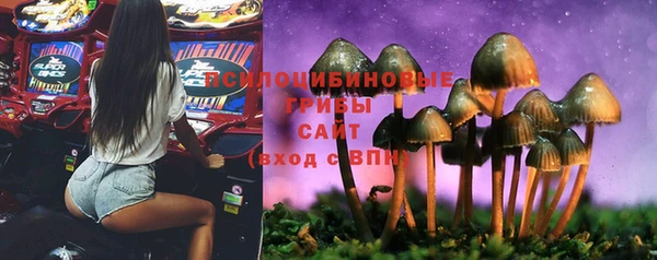 ешки Абдулино