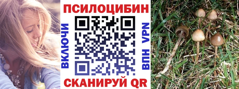 Галлюциногенные грибы Psilocybe Шарья